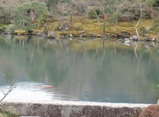 悦本堂 灸减肥招聘赶（粉粉樱花季浓浓少女心）