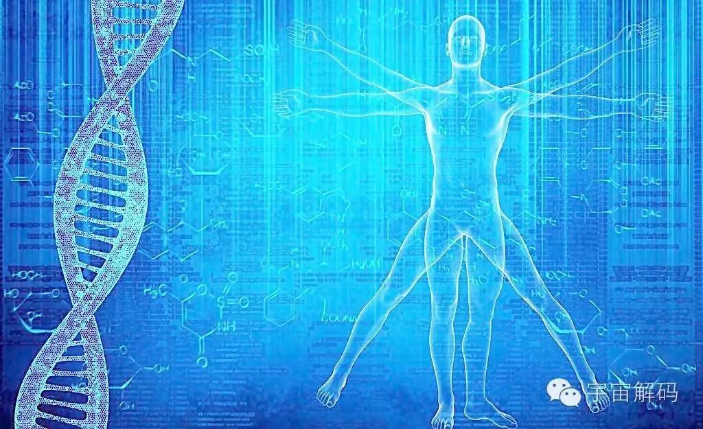 人和香蕉有50%的DNA相似，人為什么不是其他動物？