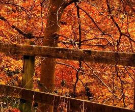 50句关于离别不舍的说说