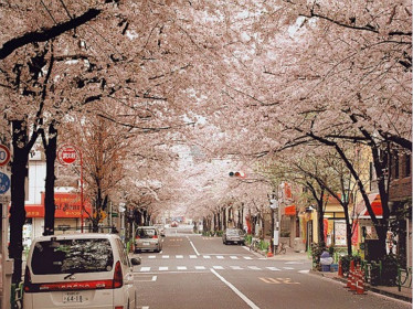 日本留学，学费最经济实惠的语言学校前五！