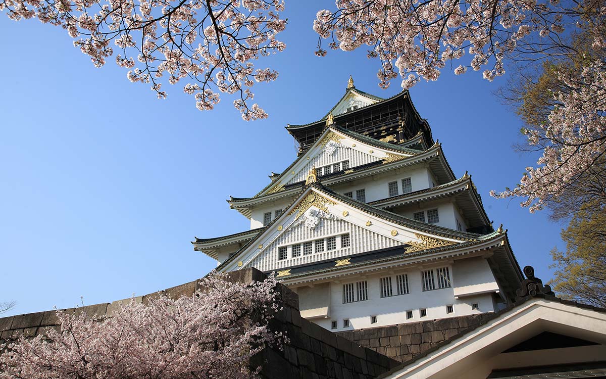 学日语日本旅行，2017新的一年去哪里旅行？