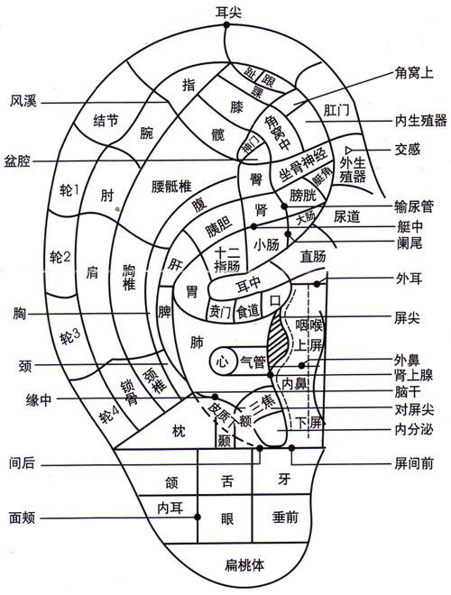 冬季疾病预防——慢支气管炎