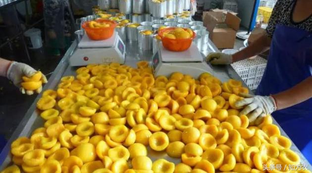 黄桃罐头微商的瞬间爆发：安徽砀山黄桃产业调研报告