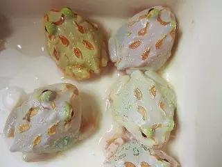 角蛙的壽命,角蛙的壽命有多長時間