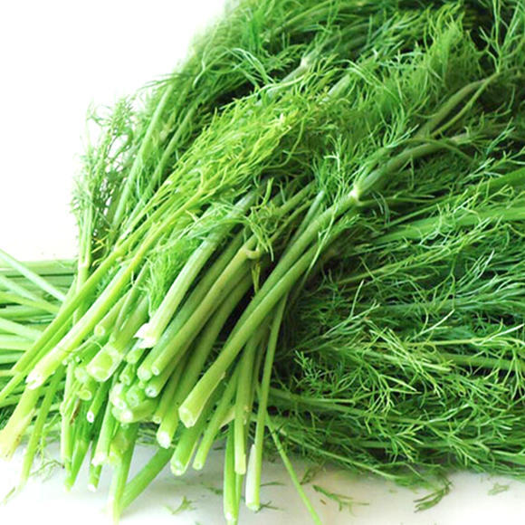 小茴香的功效与作用及禁忌(小茴香的功效与作用与用量)-我的快乐小窝