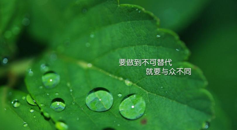 职业生涯规划|有效决策的方法