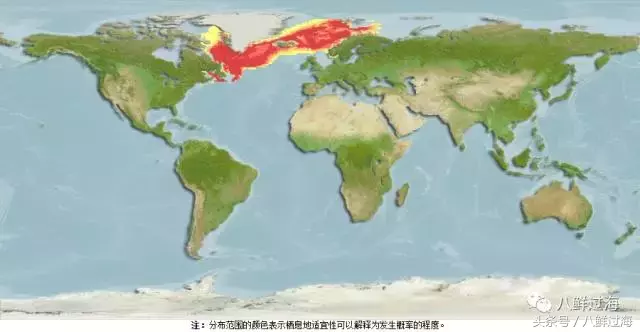 红色的鱼叫什么名字啊（知识科普红鱼的学名）