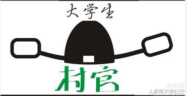 大学生村官和选调村官的区别