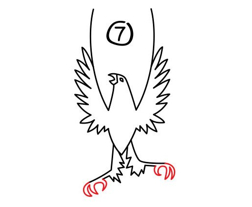 凤凰简笔画步骤图漫画教学