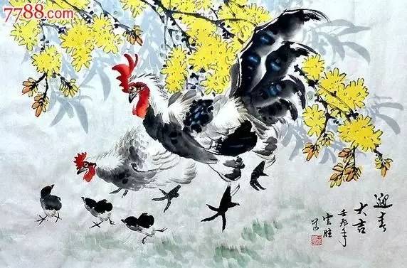 45个与鸡有关的成语，令人大开眼界