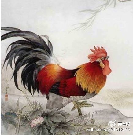 鸡年话鸡：和鸡有关的成语