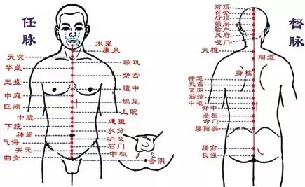 张紫阳八脉经图图片