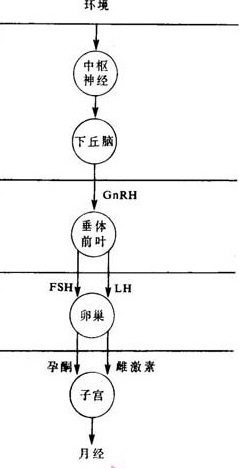 继发性闭经怎么治？扫除年轻女性备孕路上的拦路虎