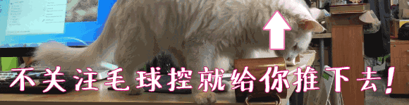 角蛙壽命,角蛙壽命是多少年