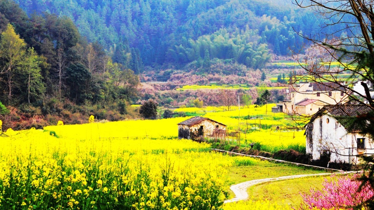 乡村春景,乡村夏景(第8页)_大山谷图库