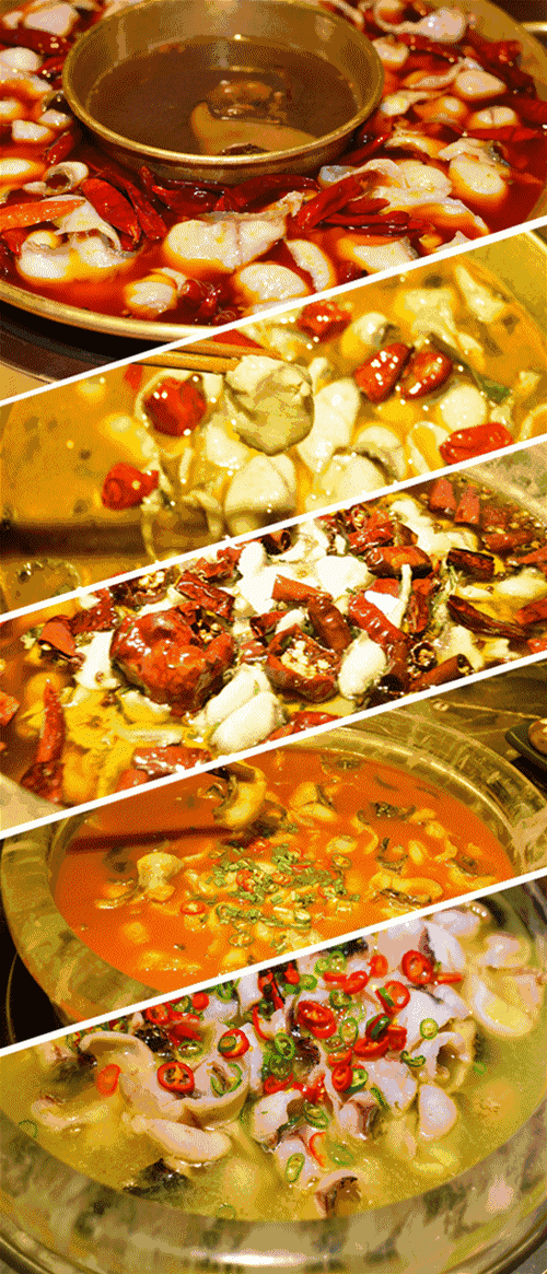 上海13家餐厅春节不打烊！还发2200个、10000+元红包！支付宝AR红包抢起来~