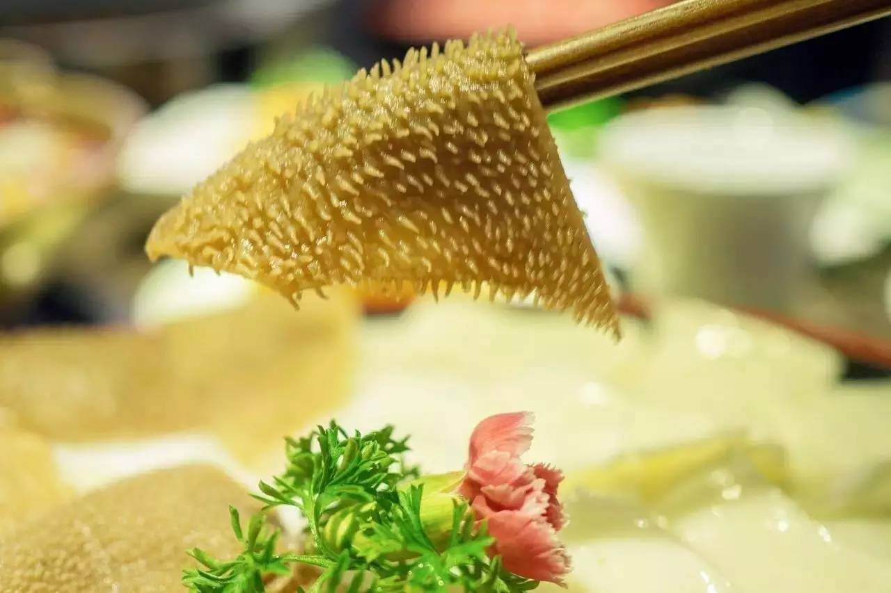 上海13家餐厅春节不打烊！还发2200个、10000+元红包！支付宝AR红包抢起来~