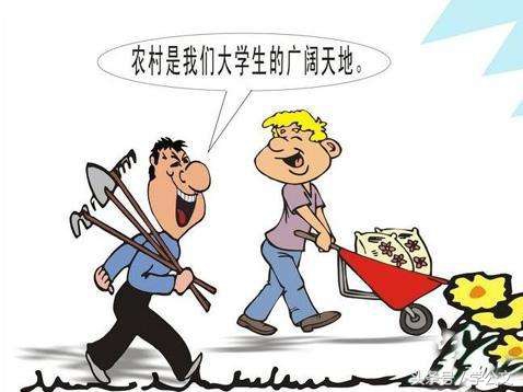 大学生村官和选调村官的区别