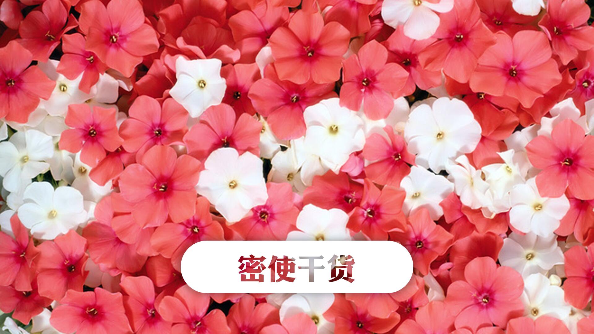 知道了扩域，你差不多已经了解了PPT动画一半的套路