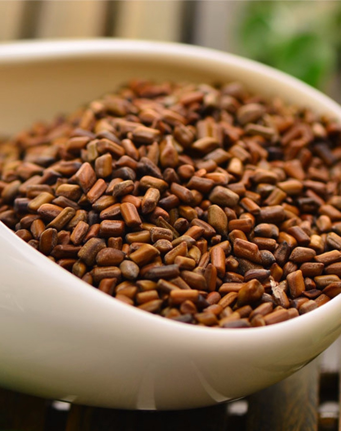 《本草》植物志之决明子:雾霾中还你我一片蓝天