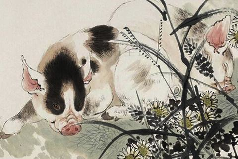 十二生肖各自属相命运，如何才能旺运