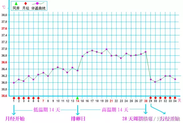 安全期怎么计算(安全期怎么算,真的"安全"吗?
