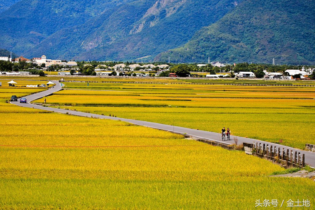 村土地利用规划,树山村土地利用规划