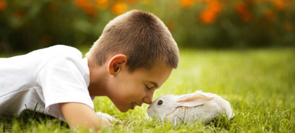 什么是学平险，到底要不要买？（附产品对比分析）