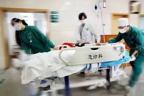 哈尔滨机动车违章查询,哈尔滨机动车违章查询系统