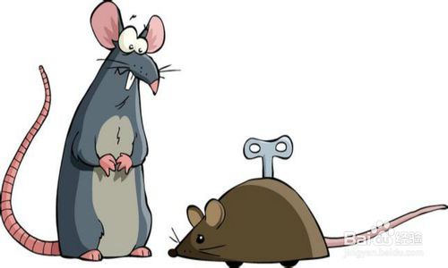 如何让老鼠自动离开，让老鼠自动离开的方法详解？