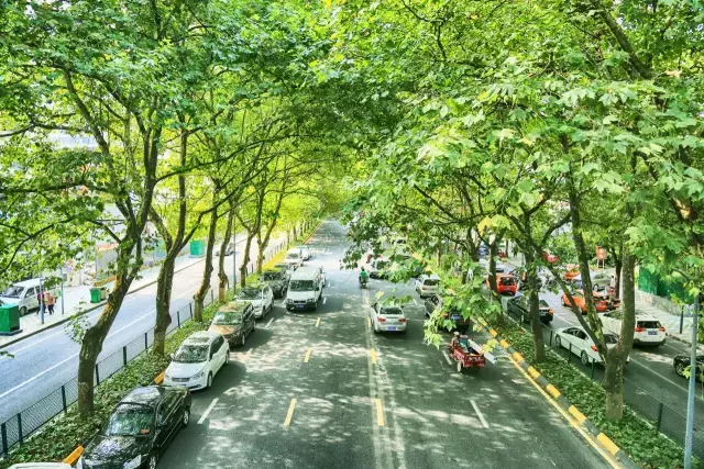 贵阳第一美女找工作，简历震惊全中国！