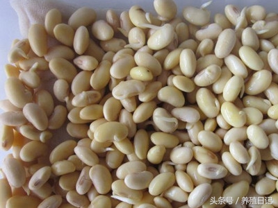 黄豆芽怎么发（用这3个简单妙招，发芽快还没烂味）