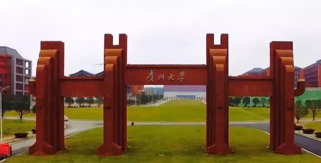 贵阳第一美女找工作，简历震惊全中国！