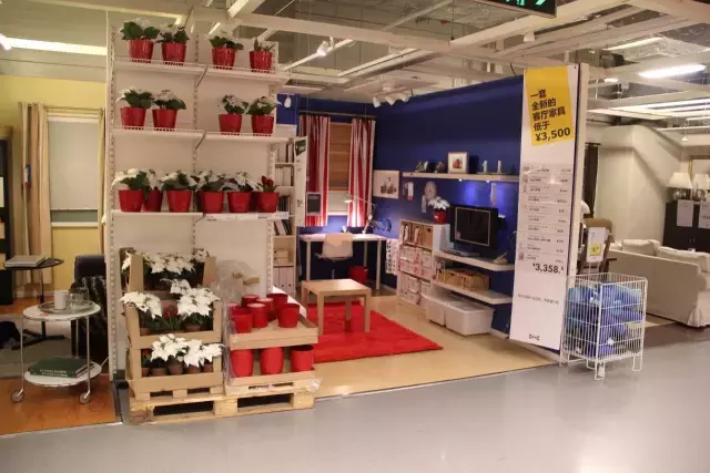 贵阳第一美女找工作，简历震惊全中国！