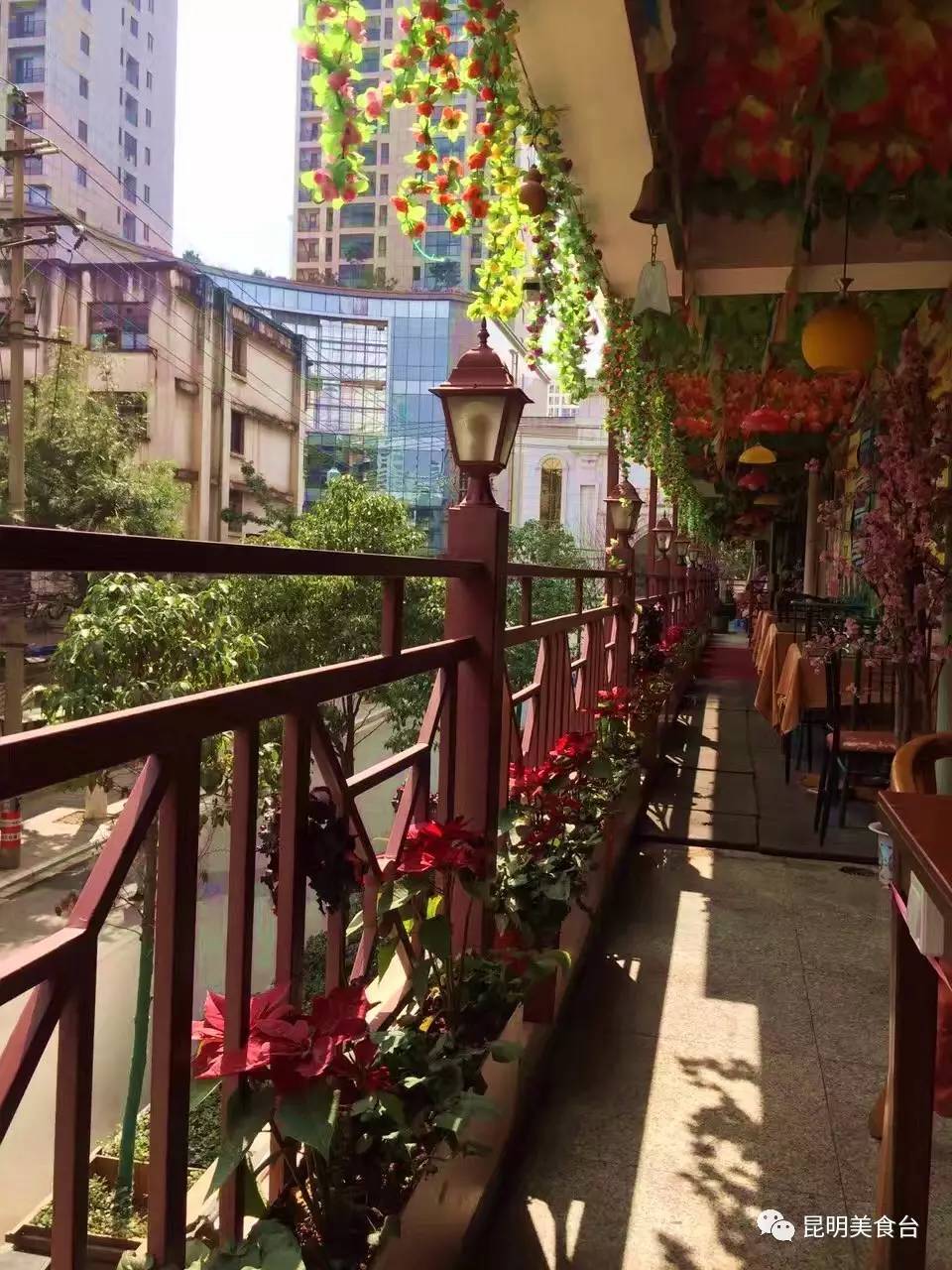 胚芽奶茶,胚芽奶茶的胚芽是什么