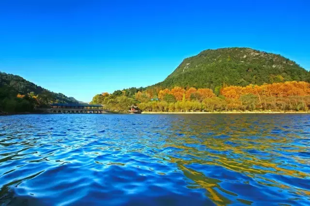 贵阳第一美女找工作，简历震惊全中国！