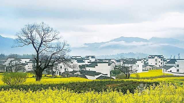 高考快讯：江西省2017年普通高考报名人数36.49万