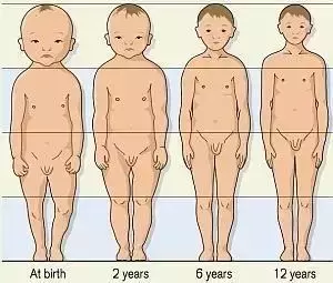 记住这两点，就能挑选到既适合孩子又适合车型的儿童安全座椅了