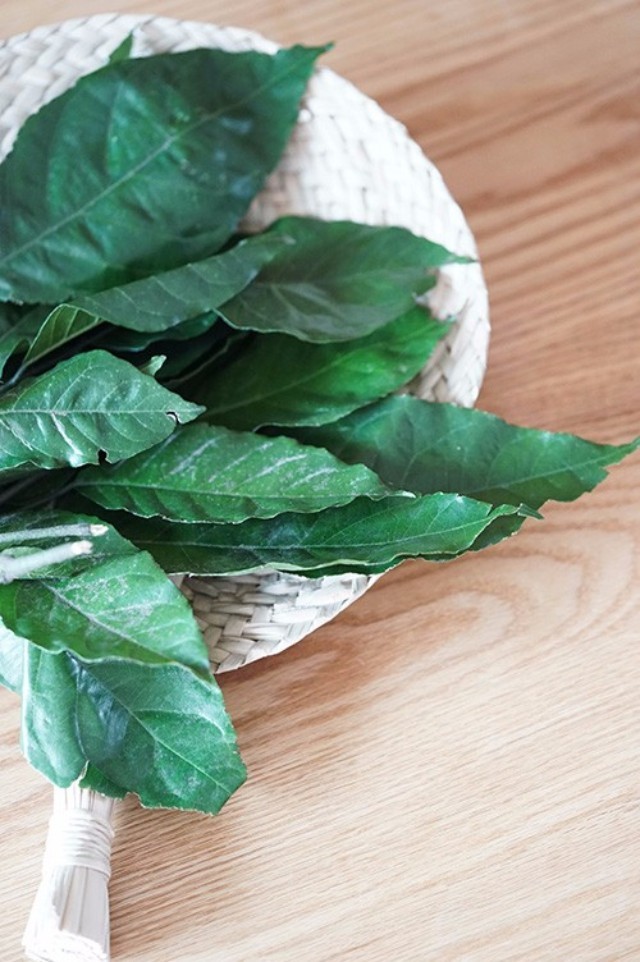 柚子叶洗澡的禁忌 -生活知识库-动动脑