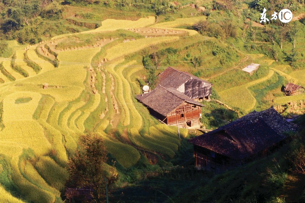 在农村，把承包地出售给他人埋葬坟墓，会有什么后果