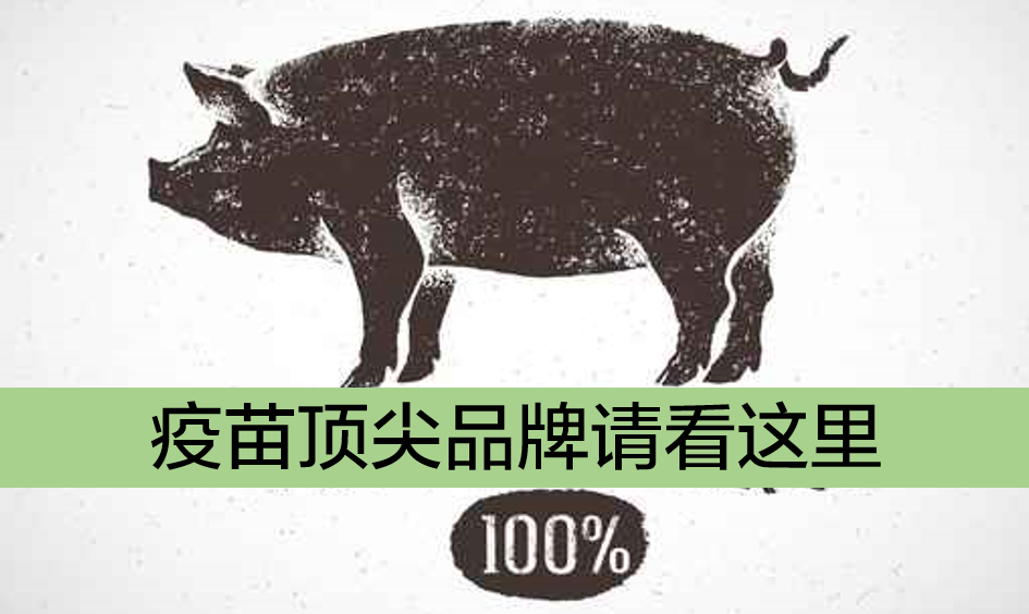 猪圆环疫苗品牌排行榜：国内外顶尖疫苗产品对比分析