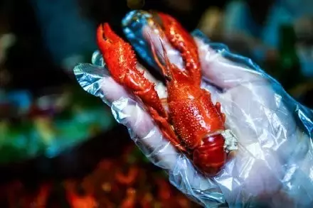 厦门竟然被美食划分成多个区服，你是哪个专区的？