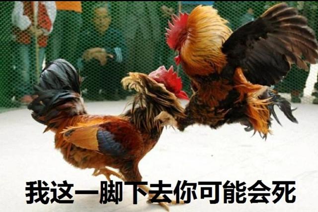 tag信息列表左叉右刀左叉右刀是不是正确