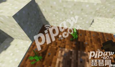 我的世界南瓜怎么种 南瓜种植攻略介绍