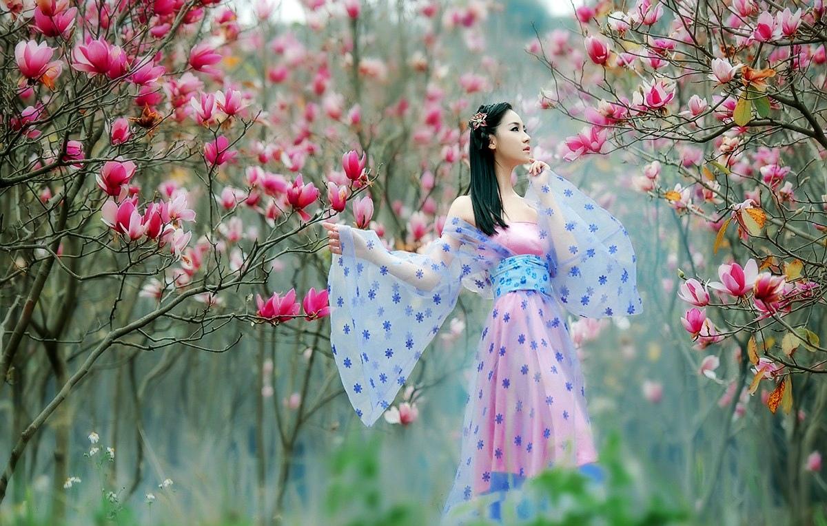 《本草》植物志之玉兰：玉兰花开试羽衣，劝君惜取少年时
