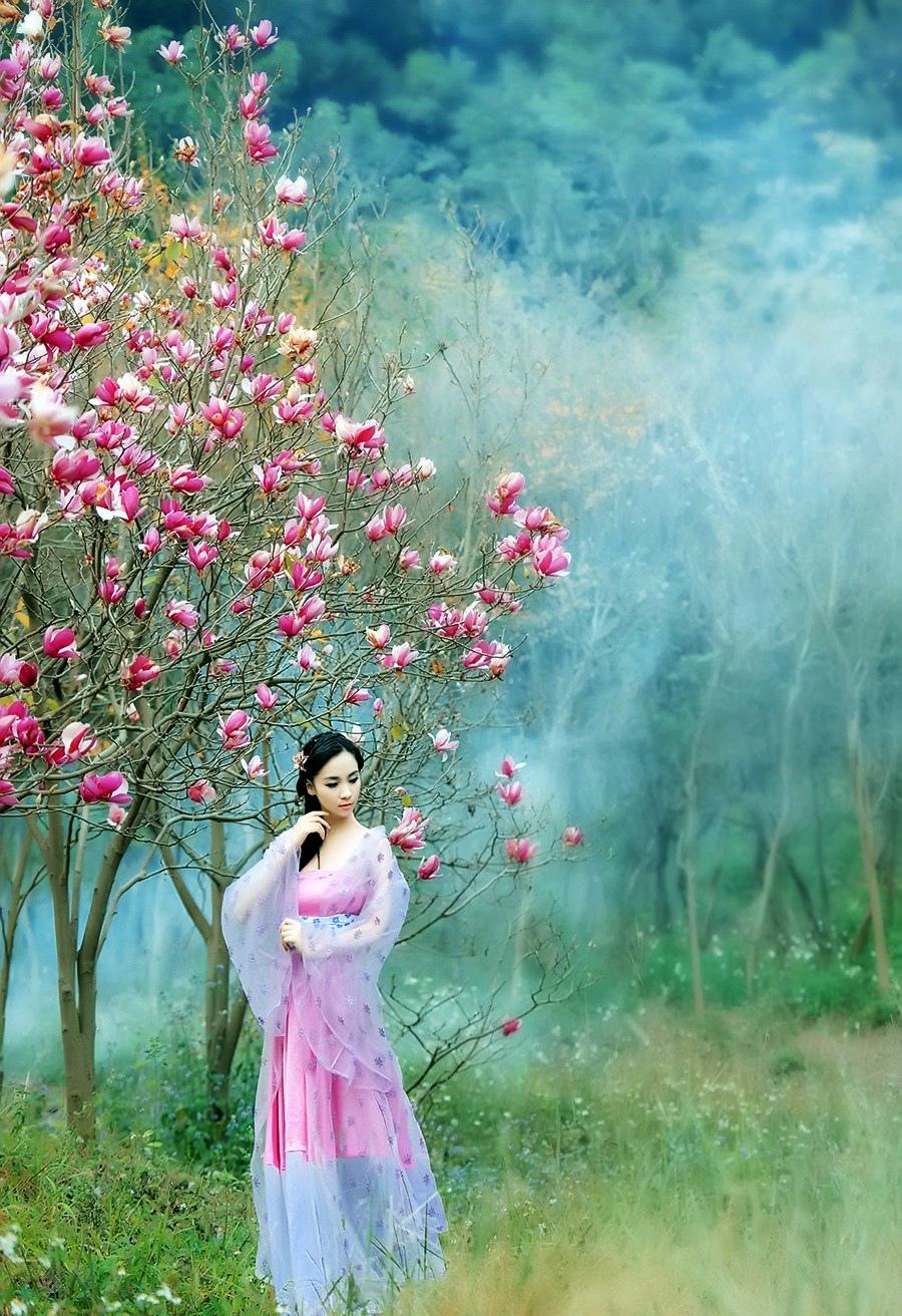 本草雅韵·木真美品装修设计灵感图集