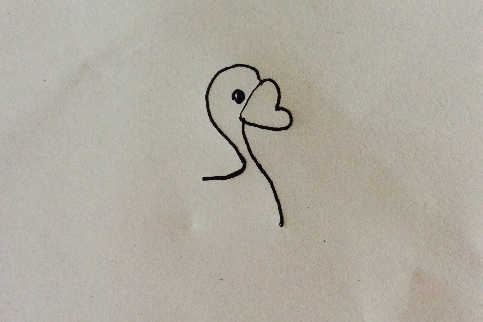 白鹅简笔画(原创育儿简笔画 宝宝成长必备 漂亮的小天鹅画法)