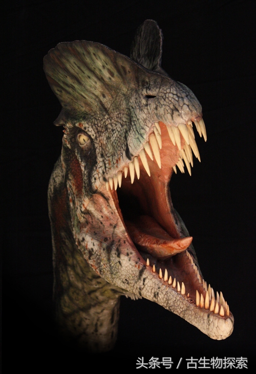 双脊龙真的能够喷射毒液吗?