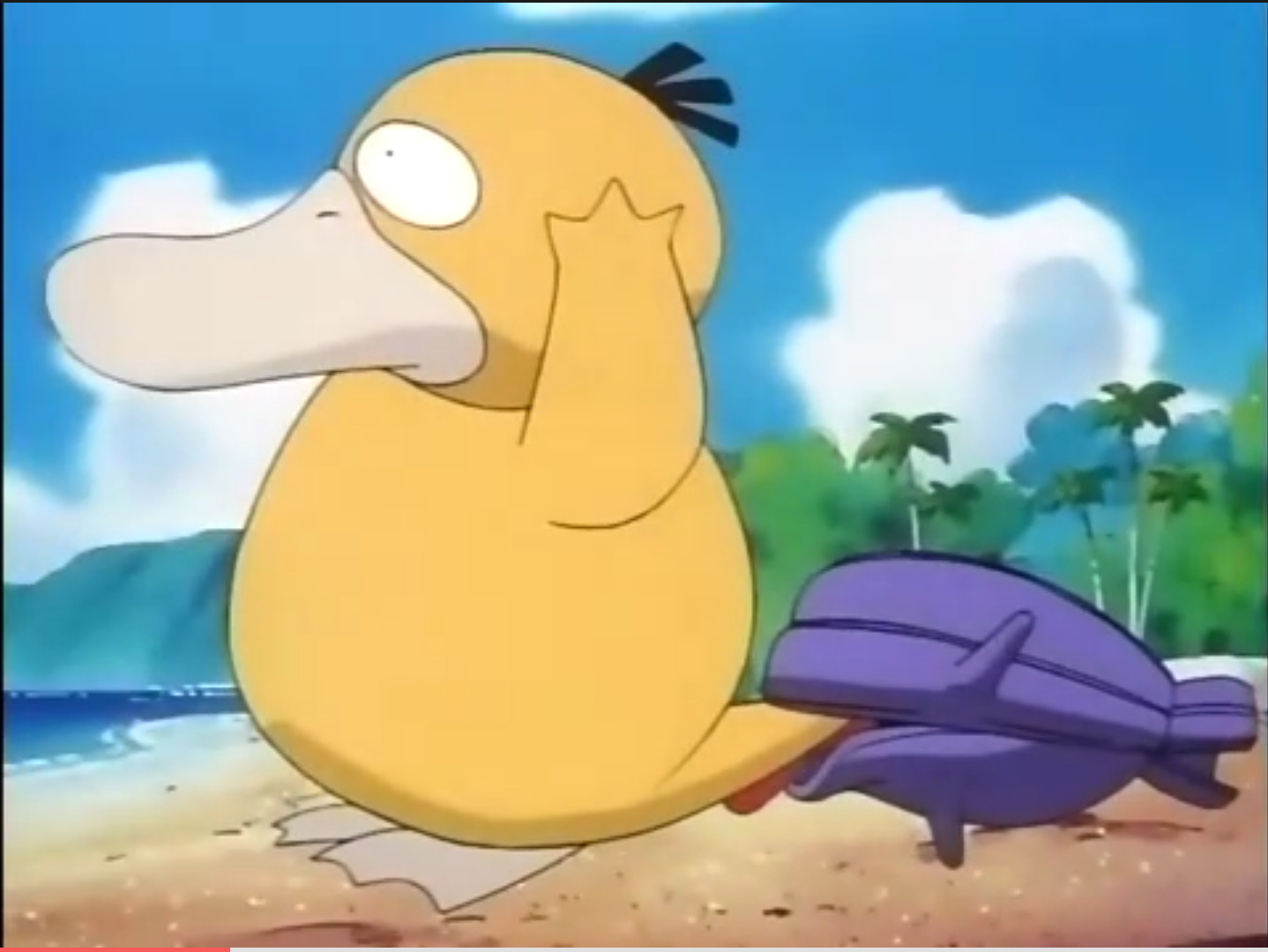 宠物小精灵可达鸭的养育心得 养鸭三年的心得体会