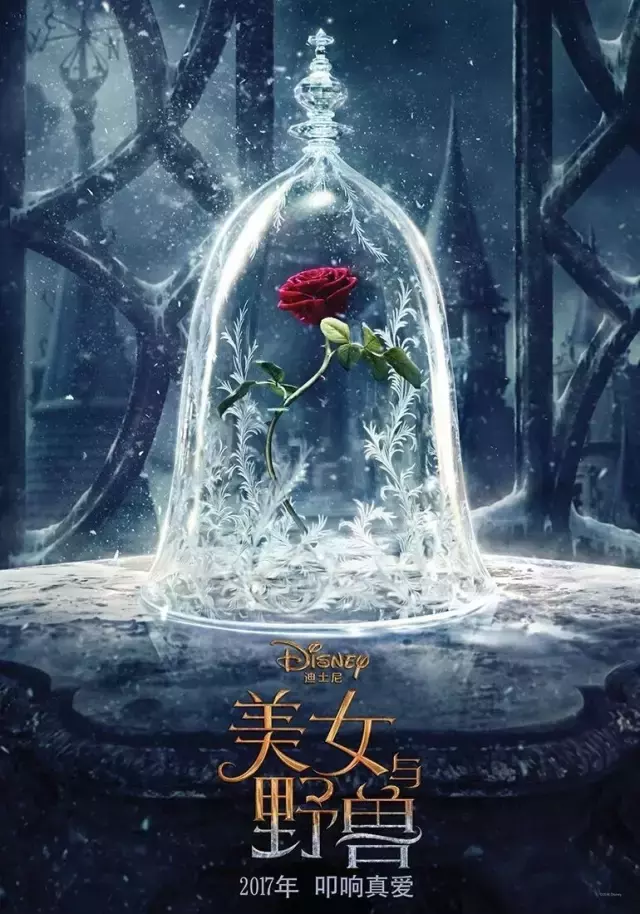 “美女”纵然美丽，“野兽”终究平庸